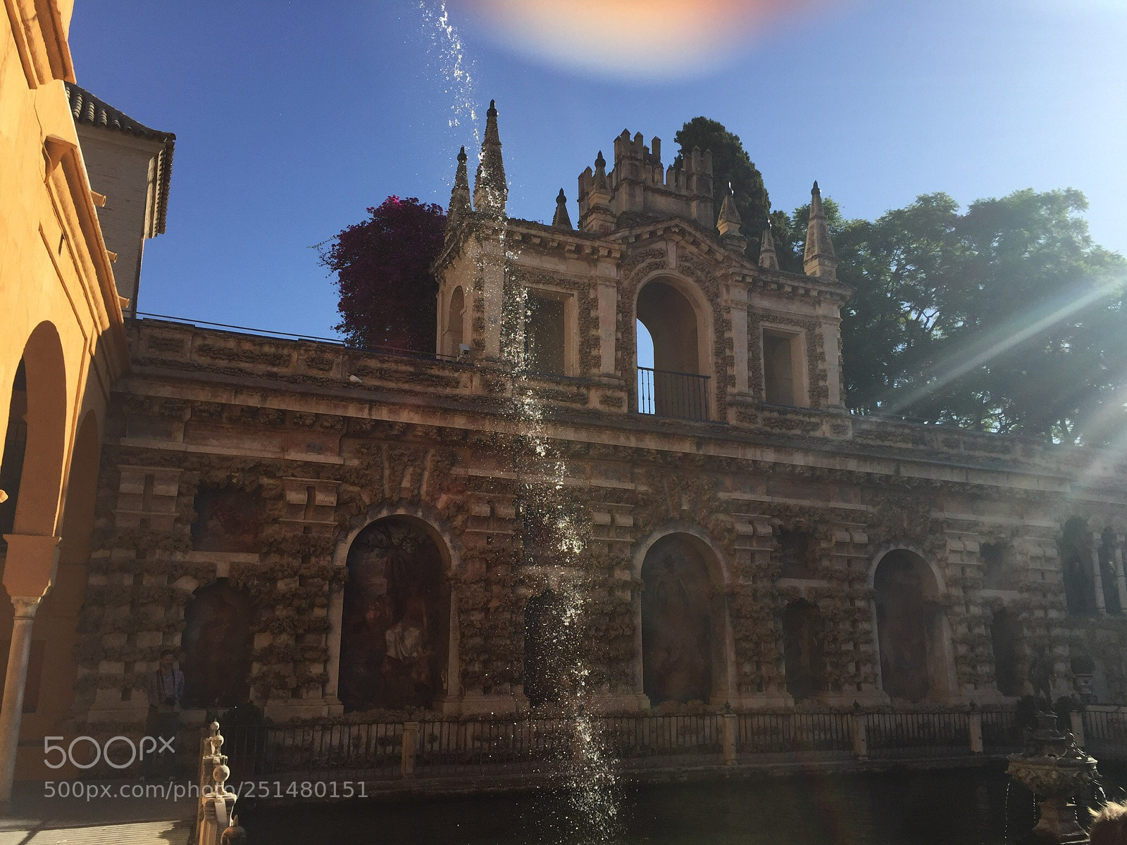 Apple iPhone 6 sample photo. Untitled photography