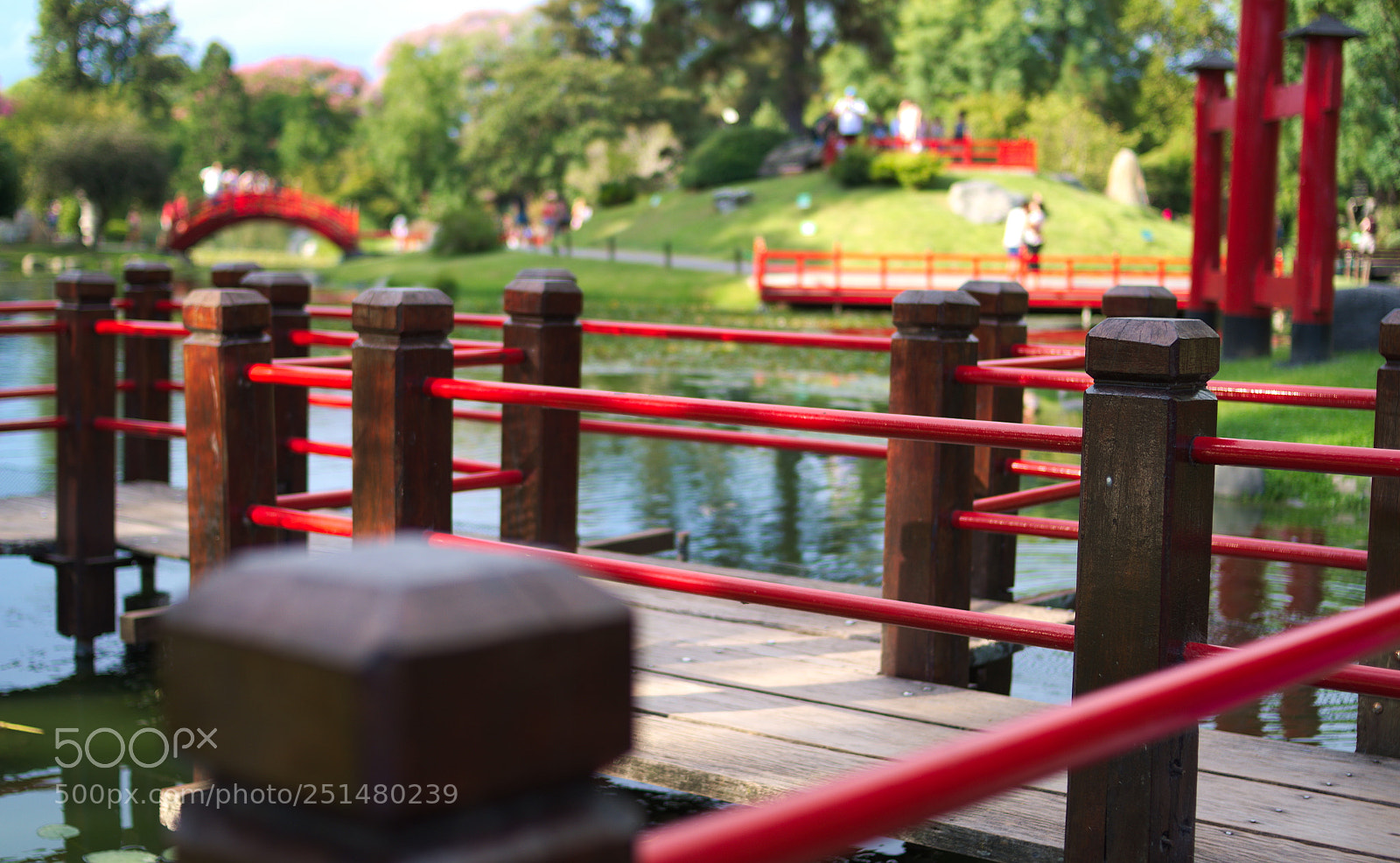 Nikon D5100 sample photo. Jard n japon s photography