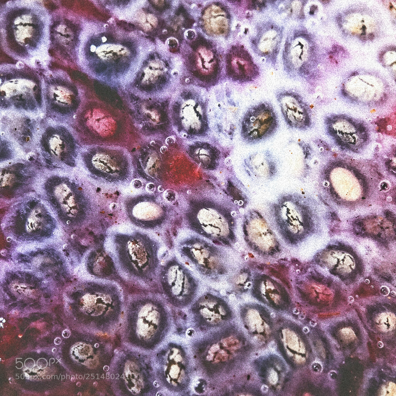 Apple iPhone X sample photo. Breakfast in mystery photography