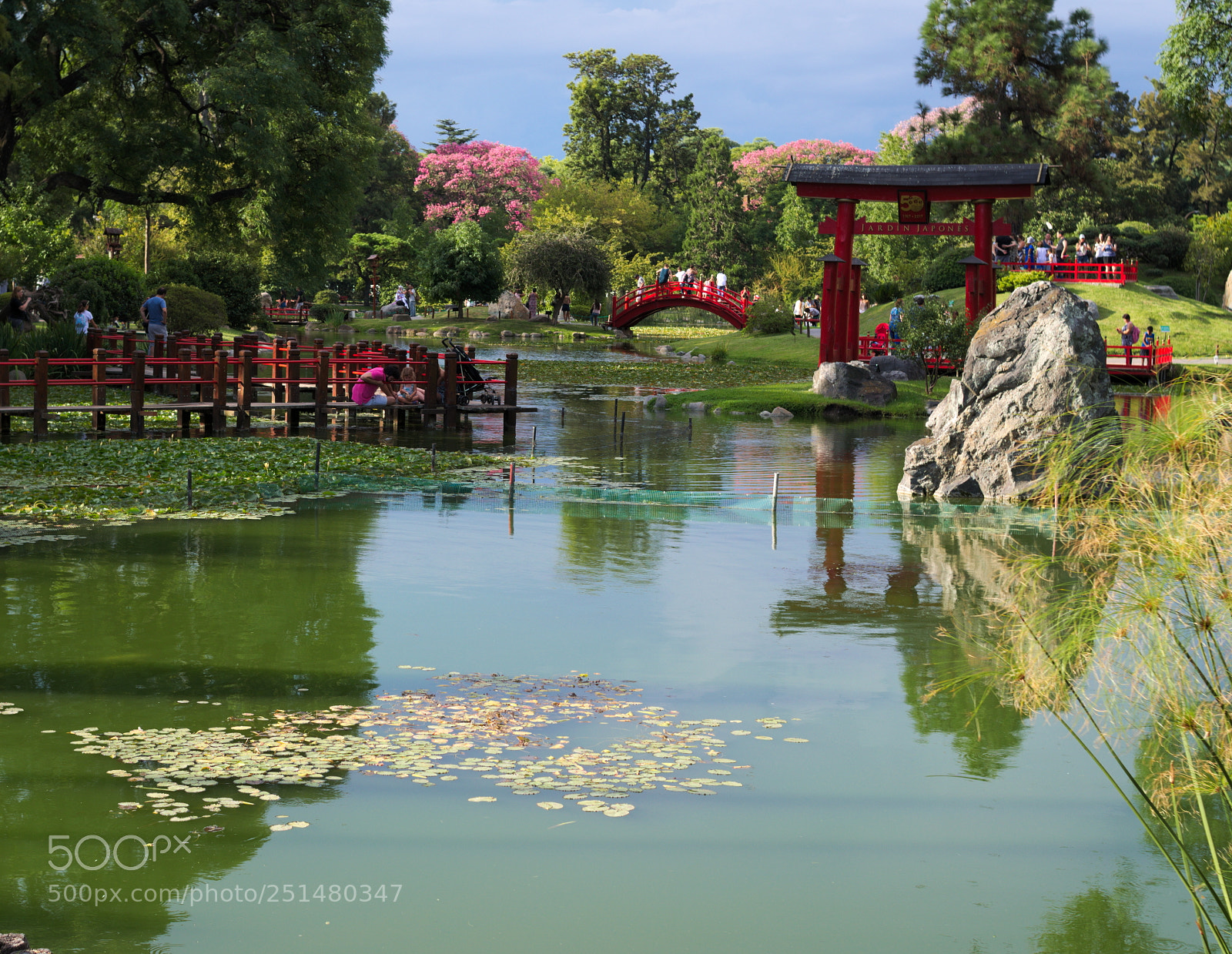 Nikon D5100 sample photo. Jard n japon s photography