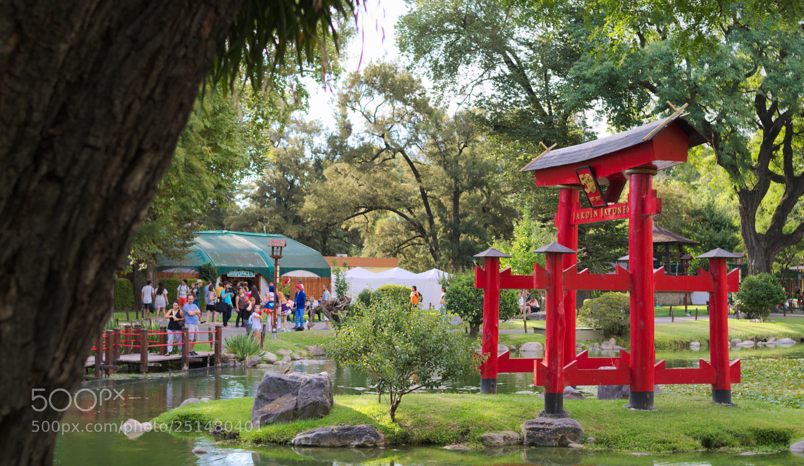 Nikon D5100 sample photo. Jard n japon s photography
