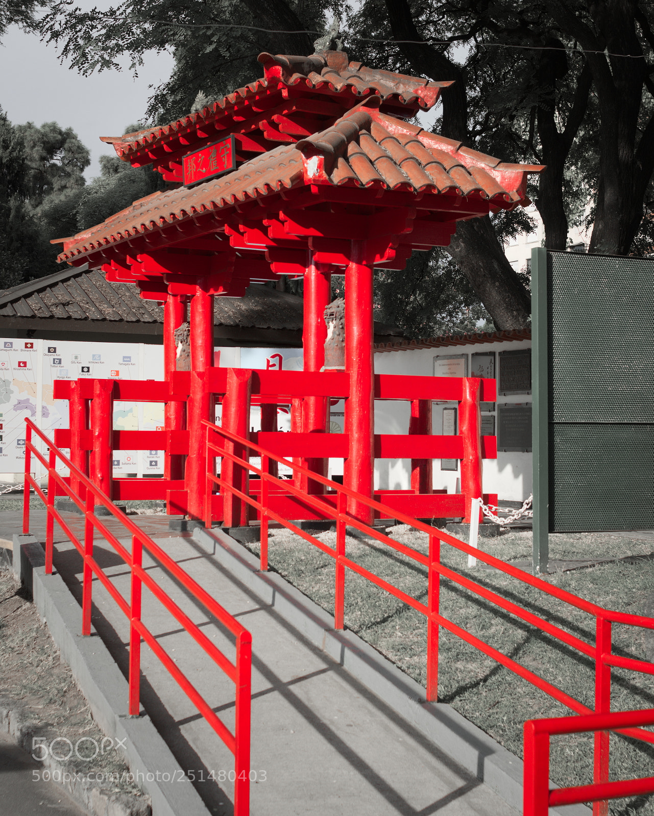 Nikon D5100 sample photo. Jard n japon s photography