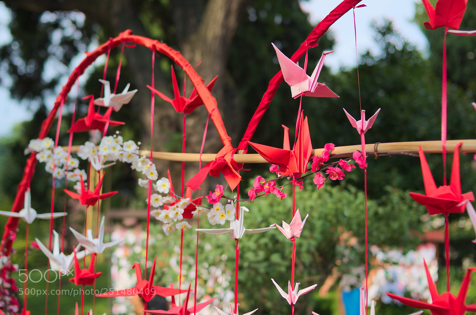 Nikon D5100 sample photo. Jard n japon s photography