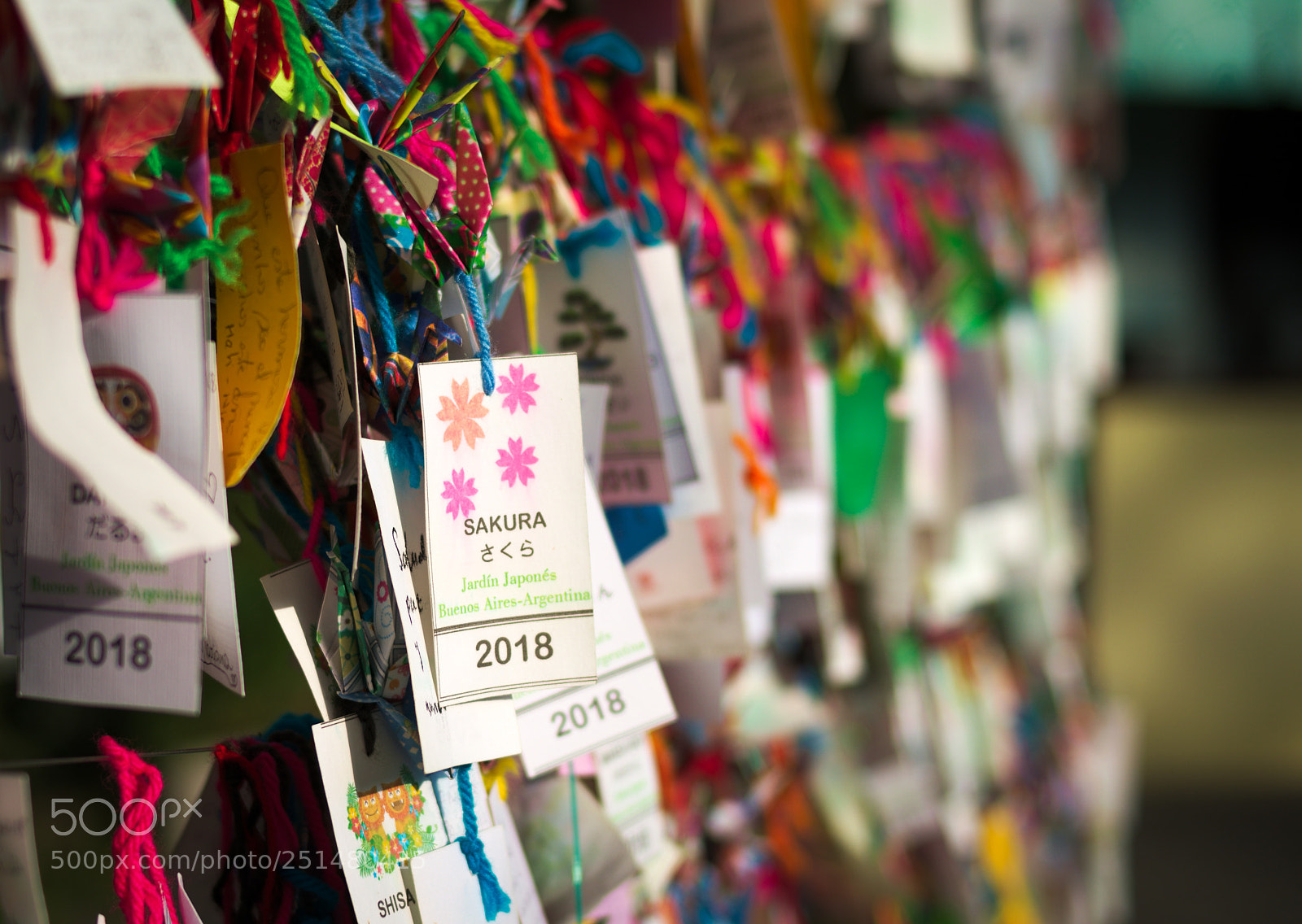 Nikon D5100 sample photo. Jard n japon s photography