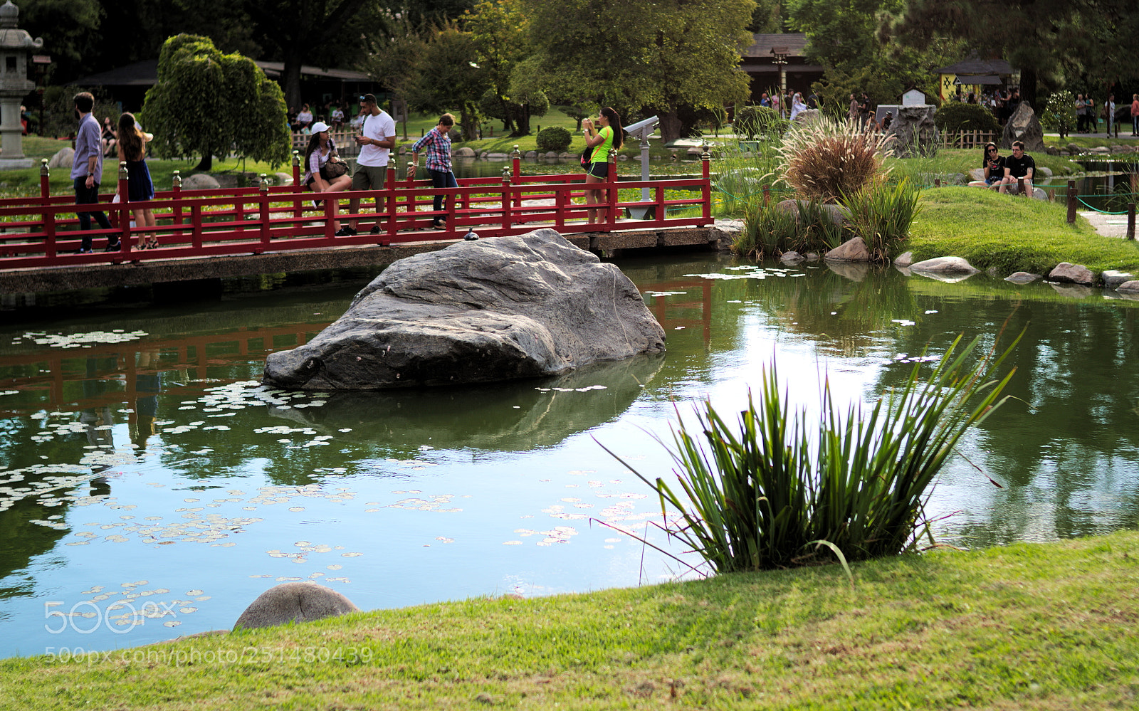 Nikon D5100 sample photo. Jard n japon s photography