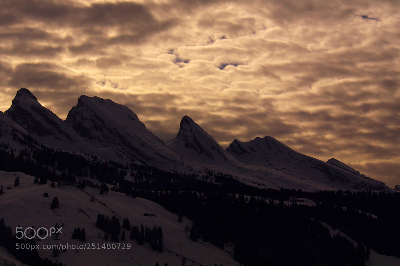 Pentax K-7 sample photo. Toggenburg photography