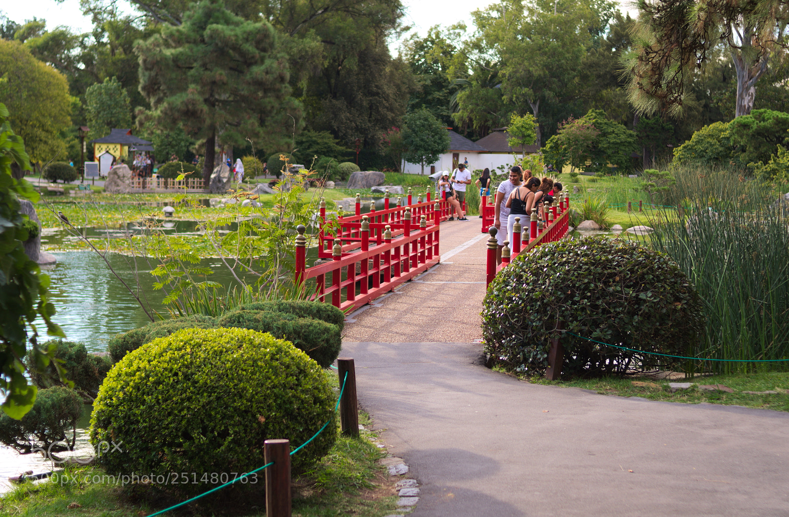 Nikon D5100 sample photo. Jard n japon s photography