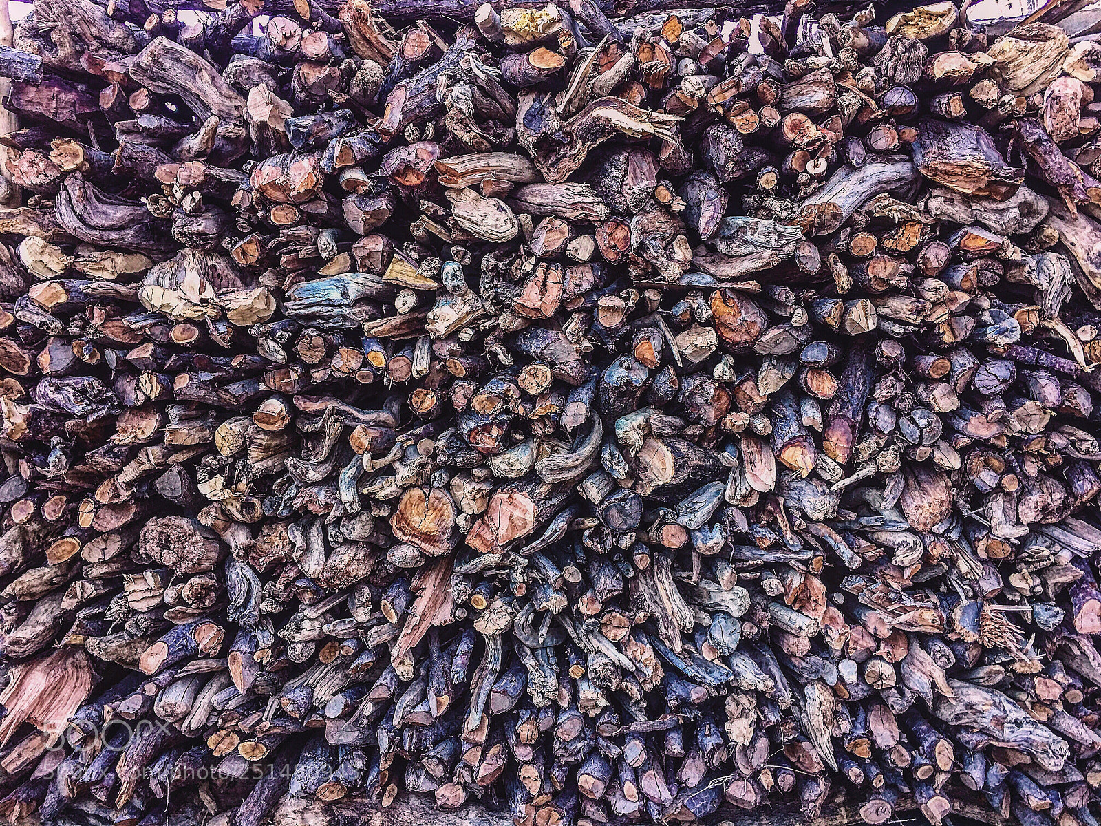 Apple iPhone 6s Plus sample photo. Texture and pattern of photography