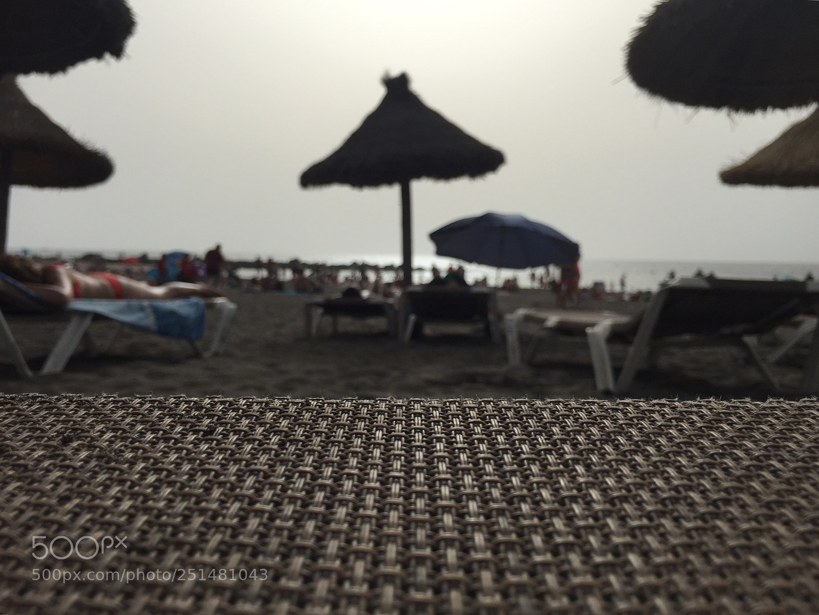 Apple iPhone 6 sample photo. Foto photography
