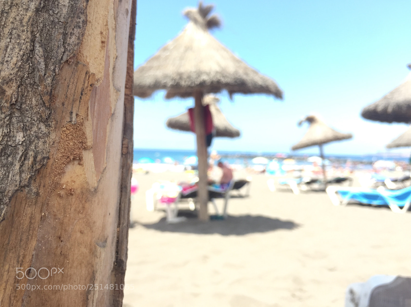 Apple iPhone 6 sample photo. Foto photography