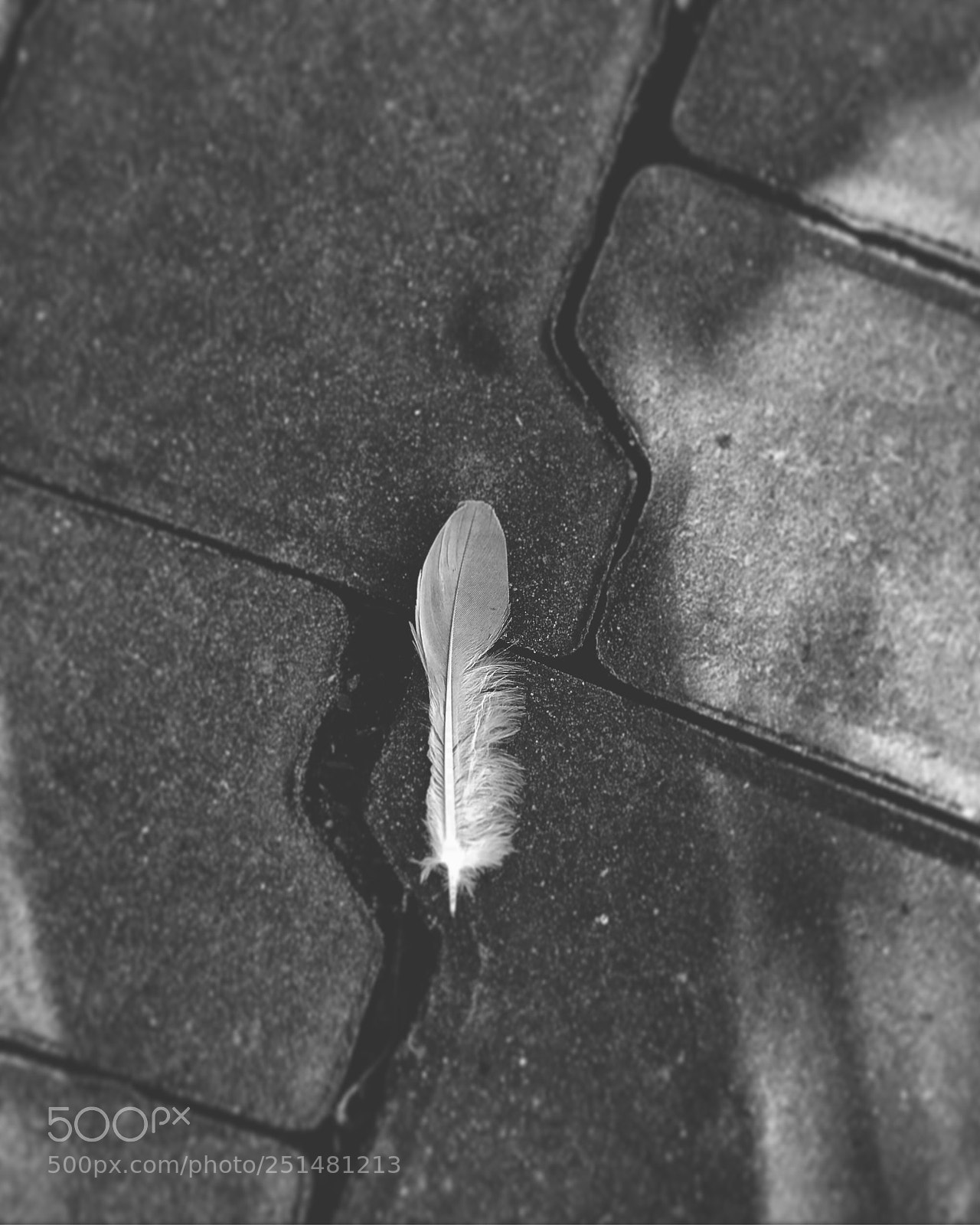 Apple iPhone 7 Plus sample photo. Angel ...  photography