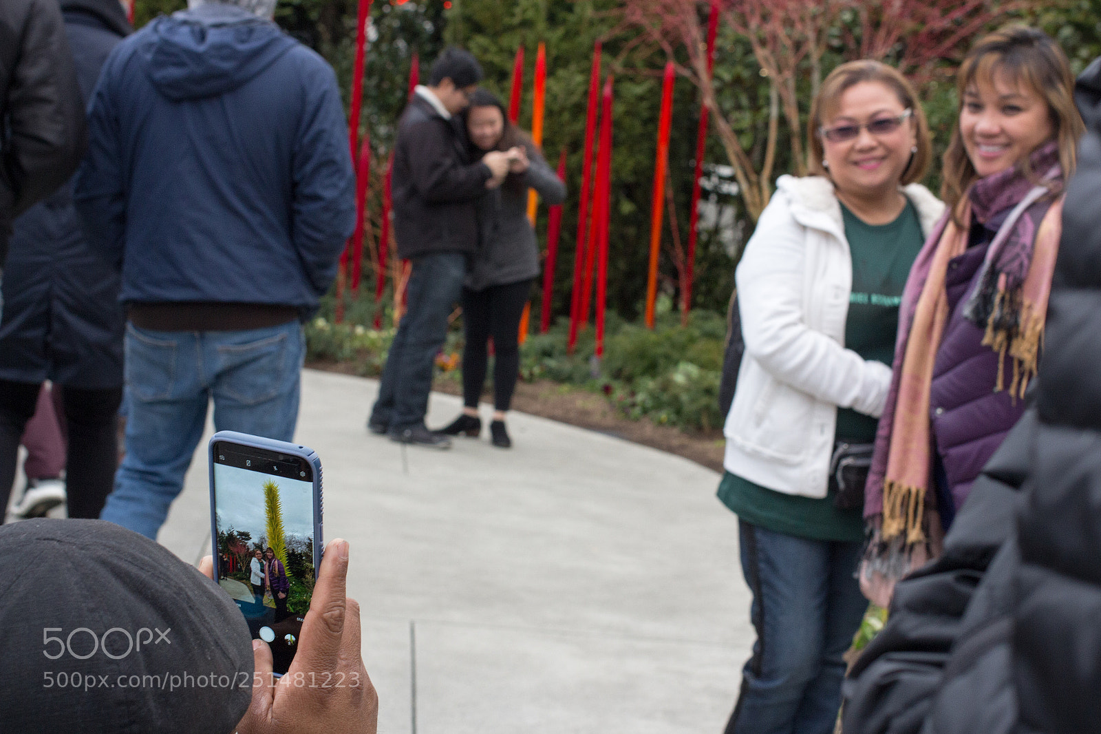 Canon EOS 700D (EOS Rebel T5i / EOS Kiss X7i) sample photo. Photographing a photograph from photography