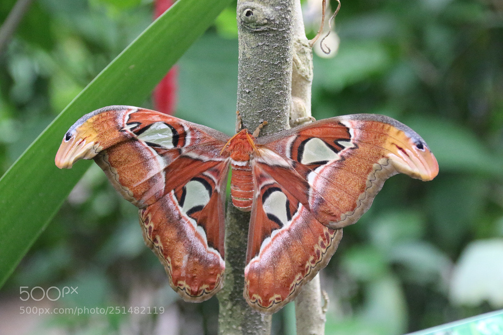 Canon EOS 7D Mark II sample photo. Untitled photography