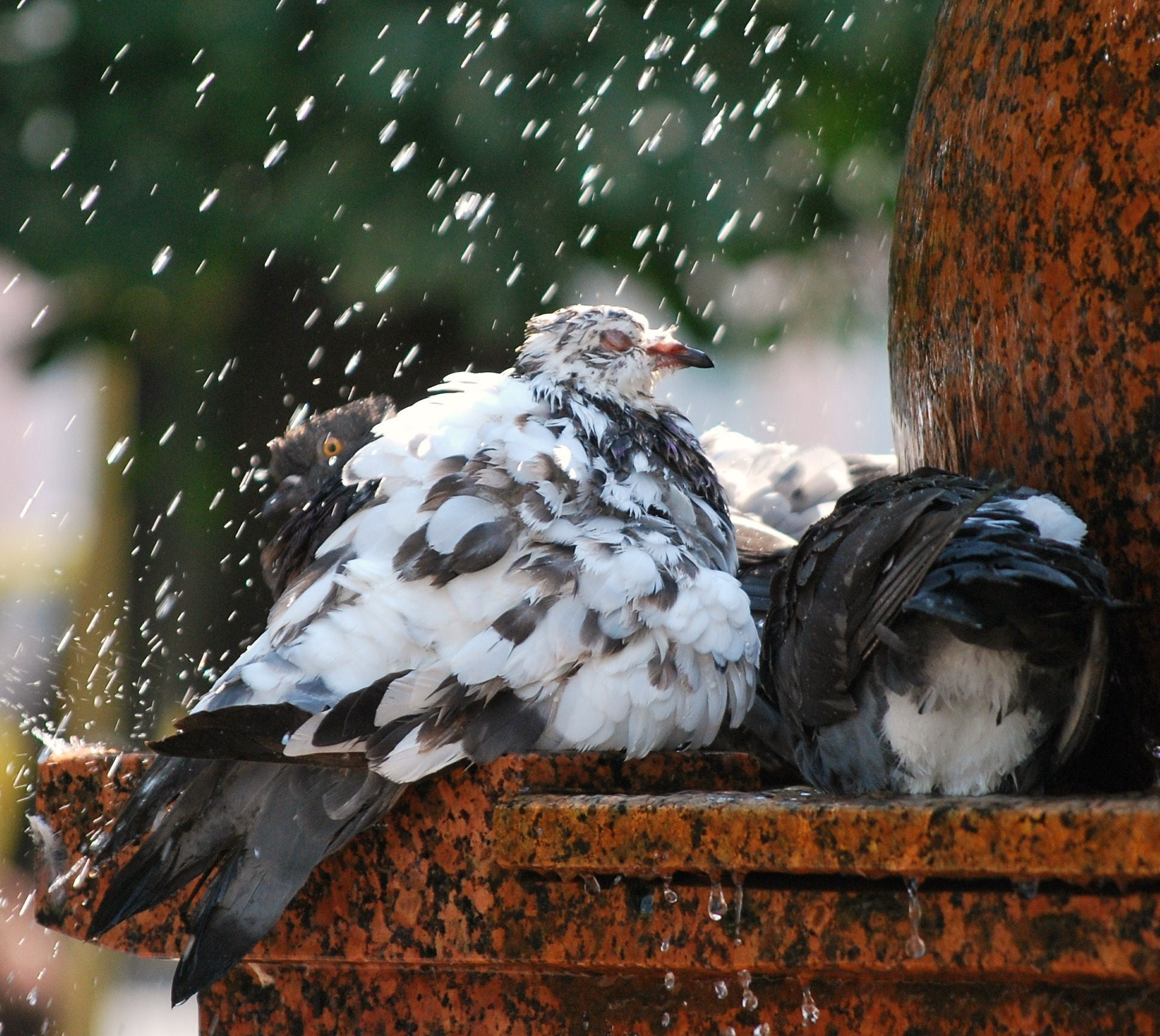 Nikon D60 sample photo. Bdcdd orig photography