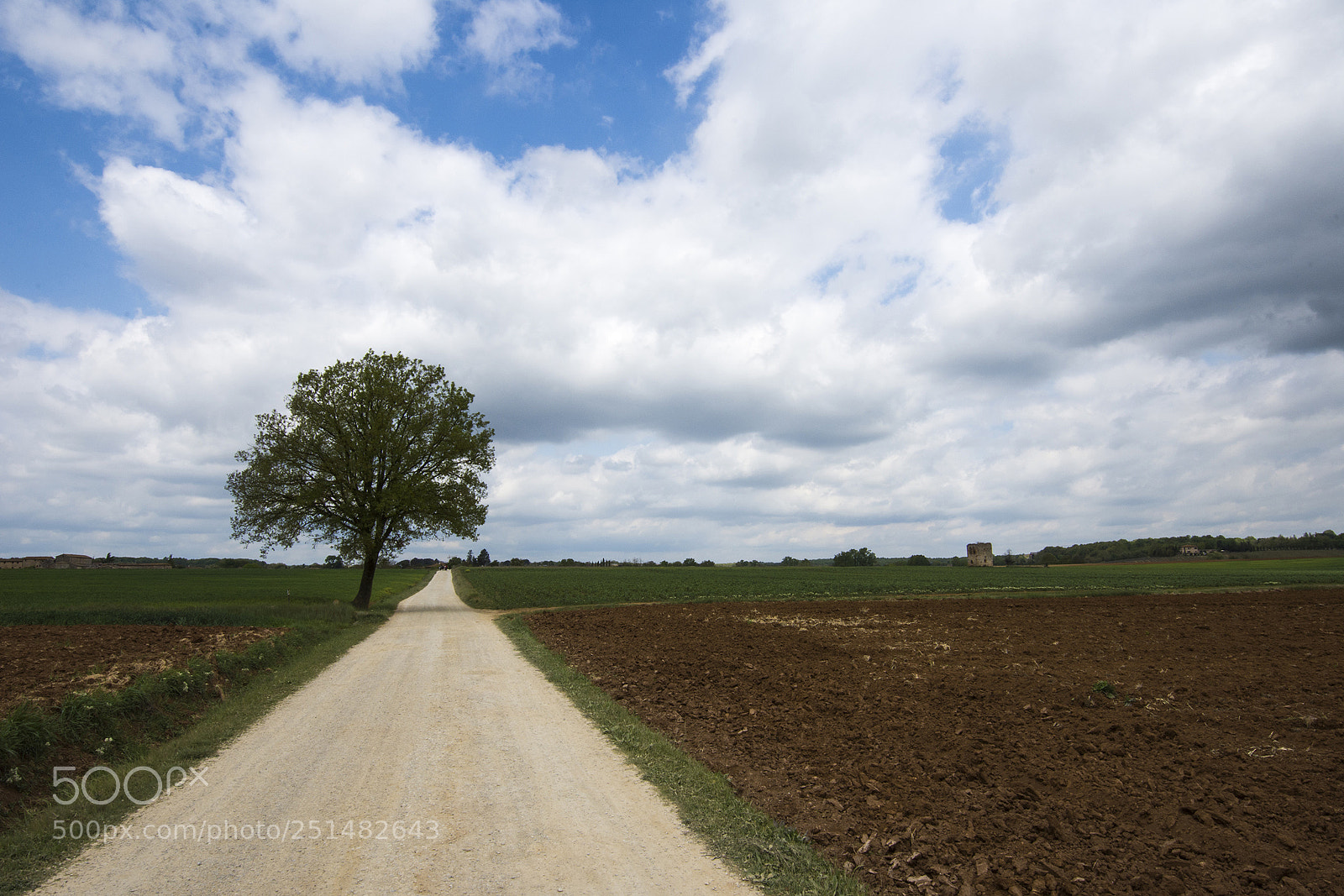 Nikon D7200 sample photo. St photography