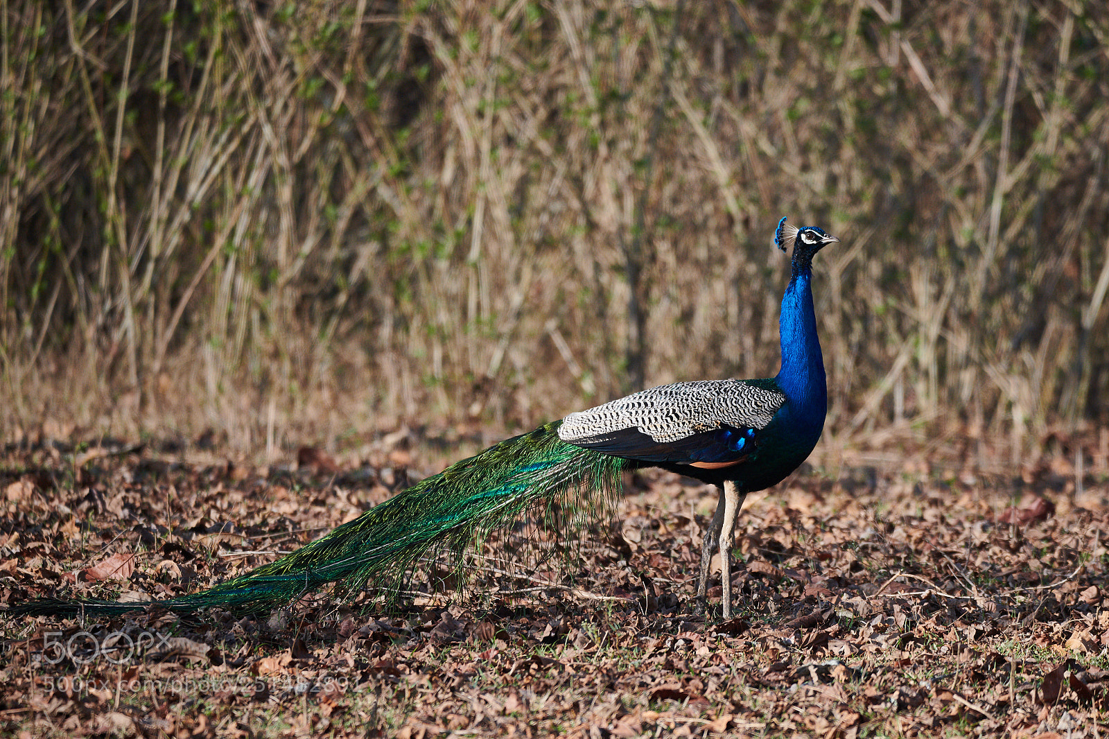 Nikon D850 sample photo. Dsc photography