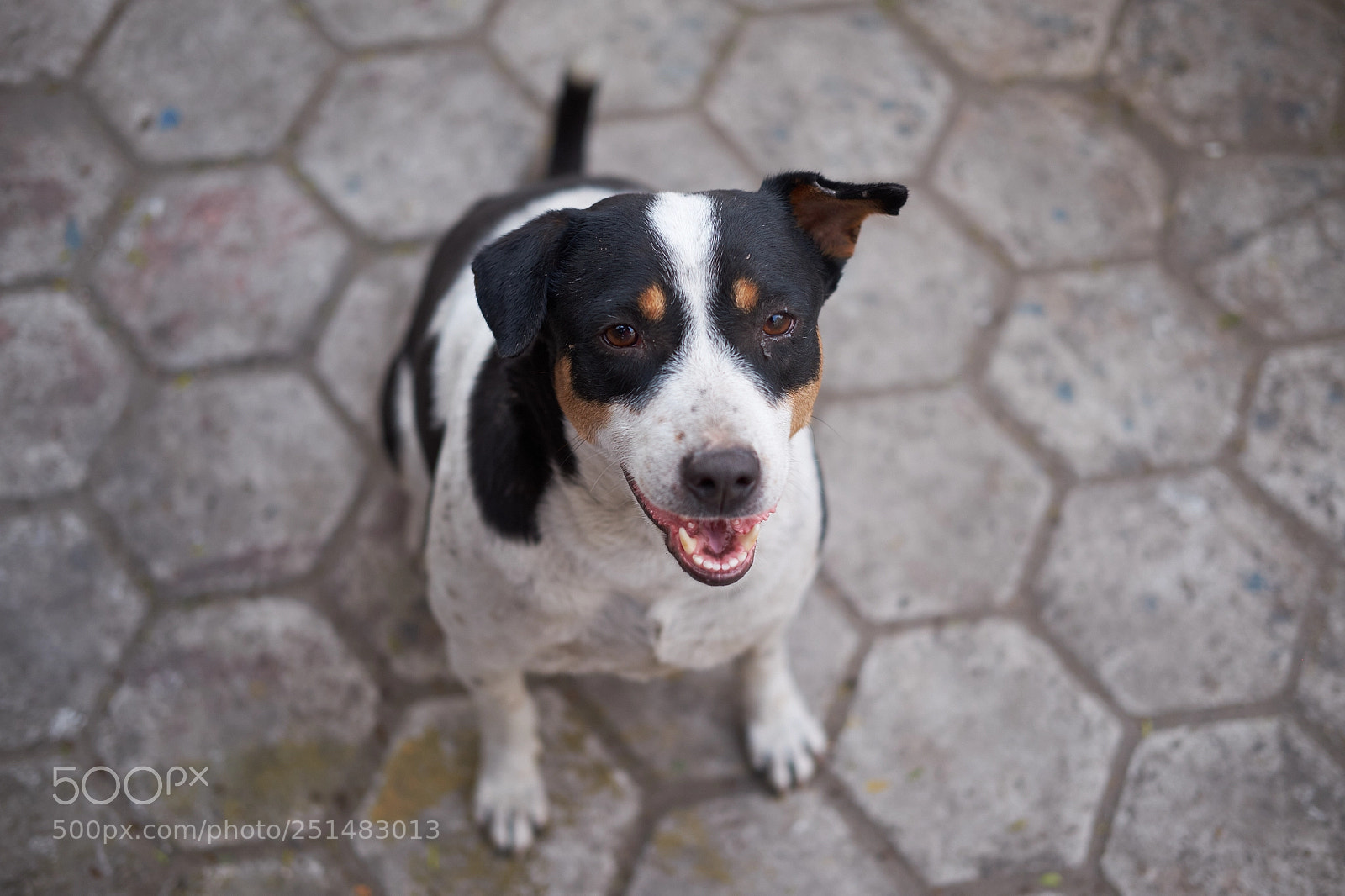 Fujifilm X-T1 sample photo. Dscf photography
