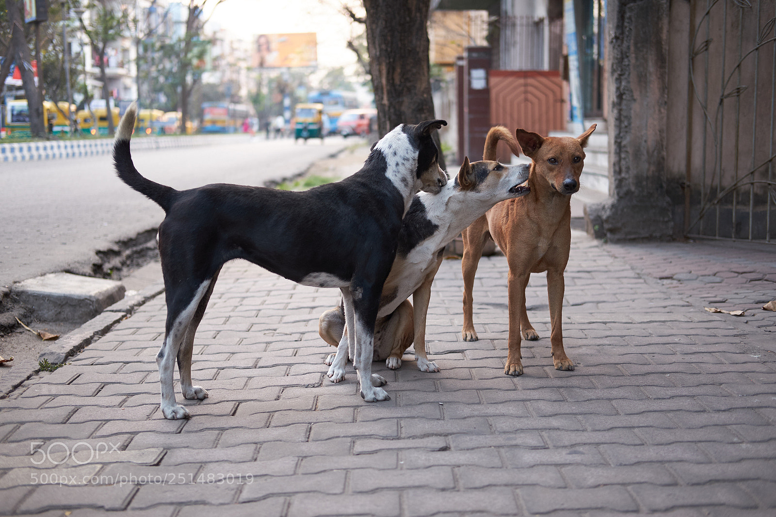 Fujifilm X-T1 sample photo. Dscf photography