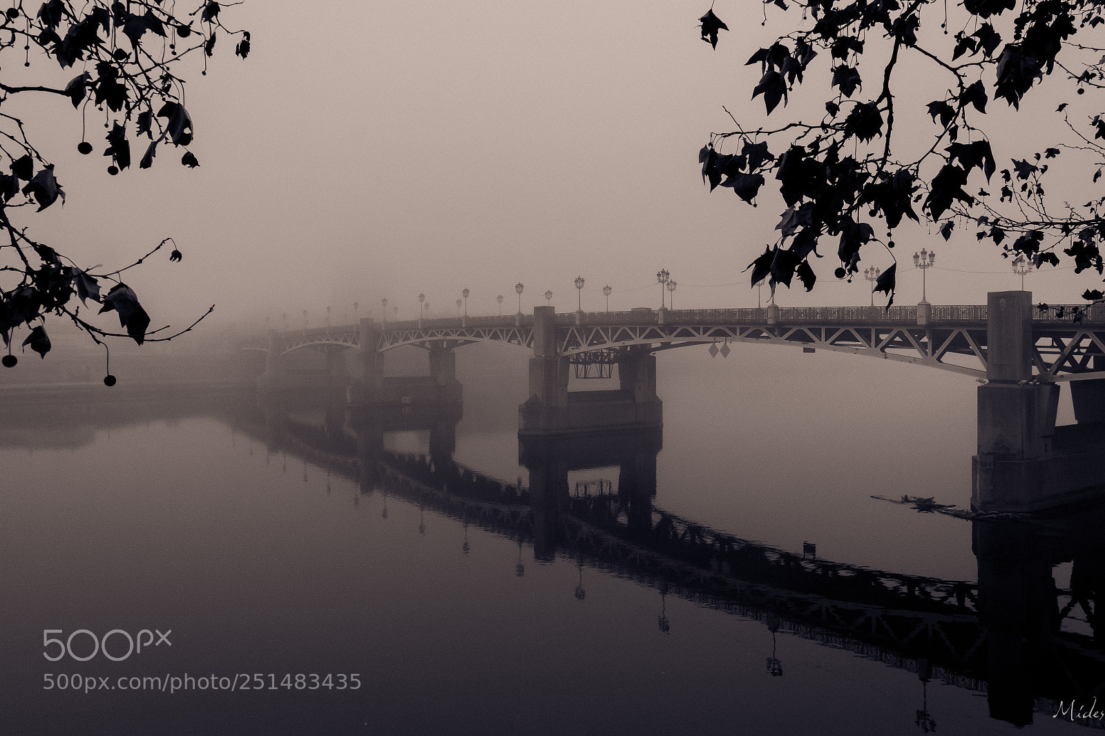Nikon D7100 sample photo. Fog photography