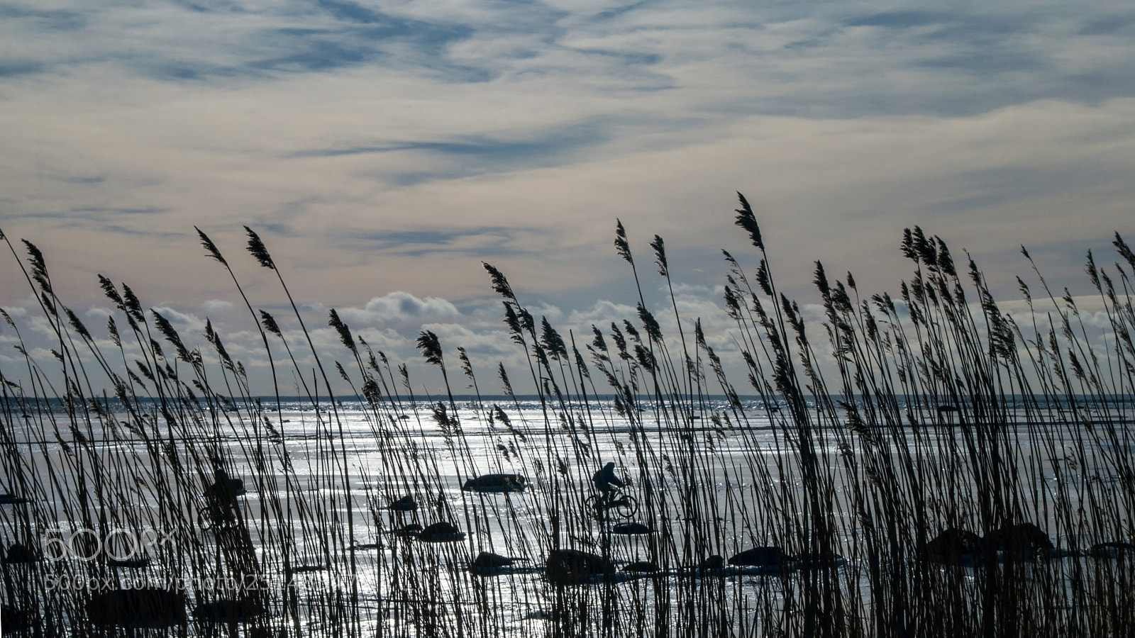 Nikon D3000 sample photo. Cyclist photography