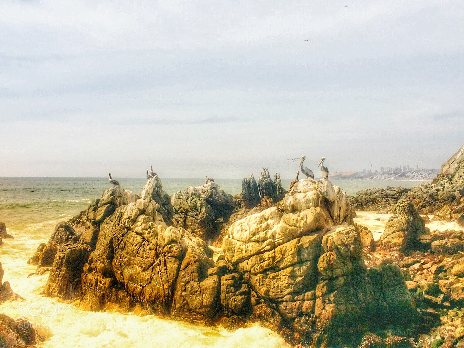 Apple iPhone 5s sample photo. Viña del mar photography