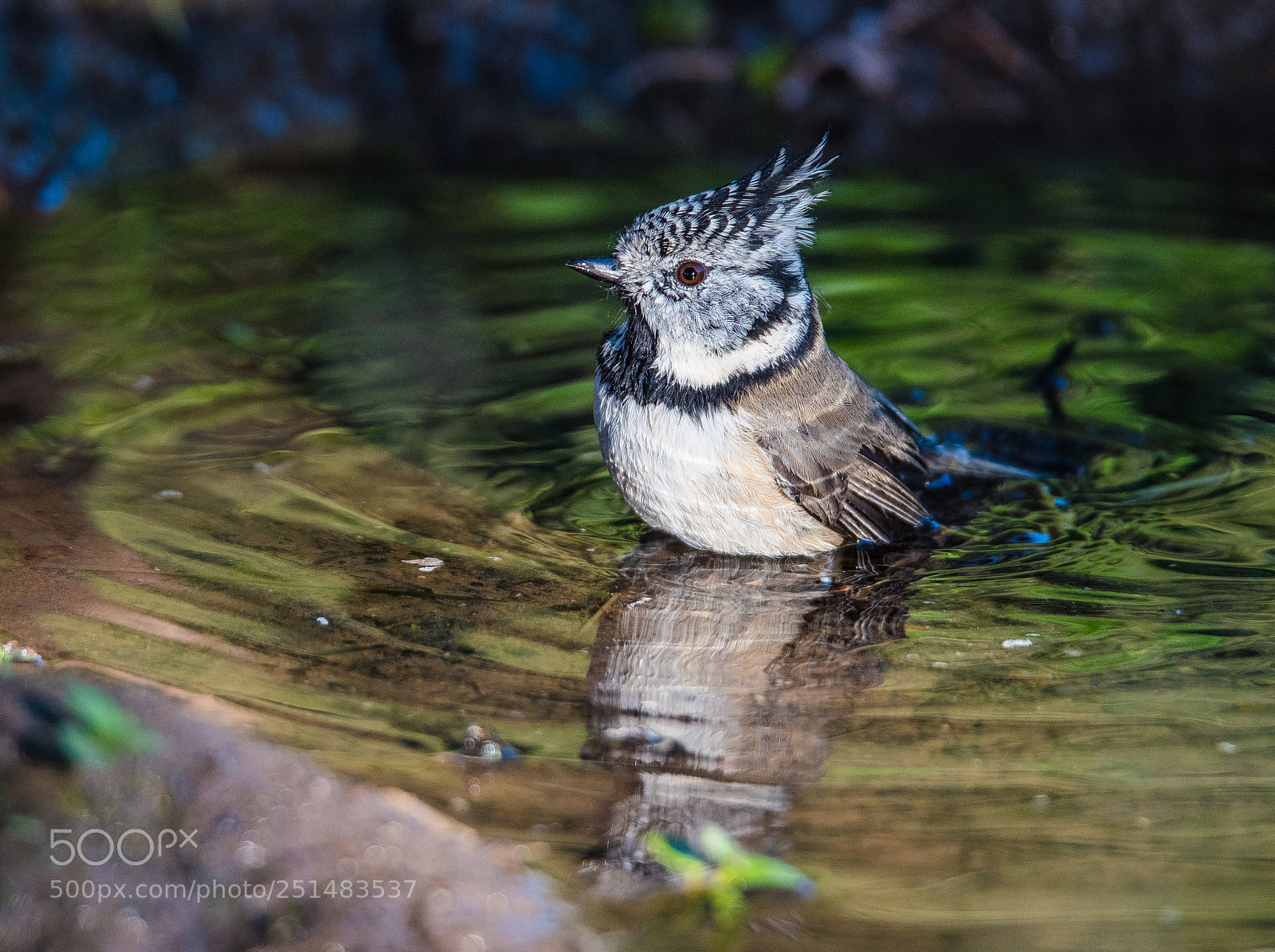 Nikon D810 sample photo. El baño photography