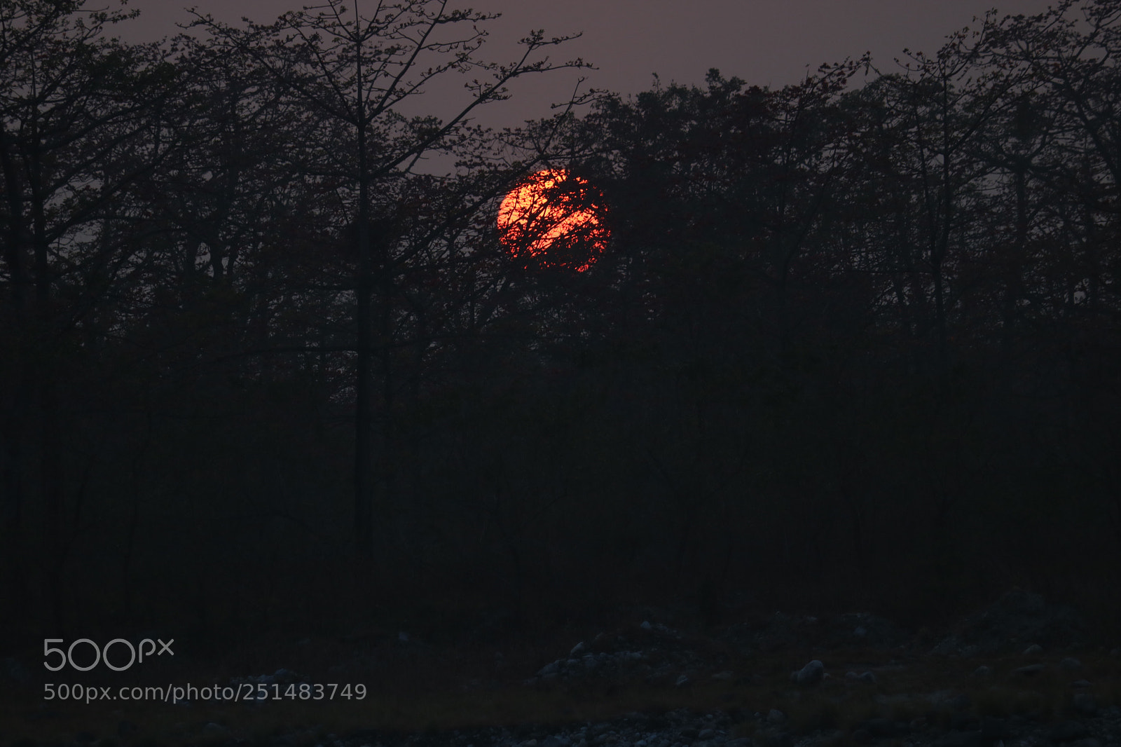 Canon EOS 750D (EOS Rebel T6i / EOS Kiss X8i) sample photo. Untitled photography