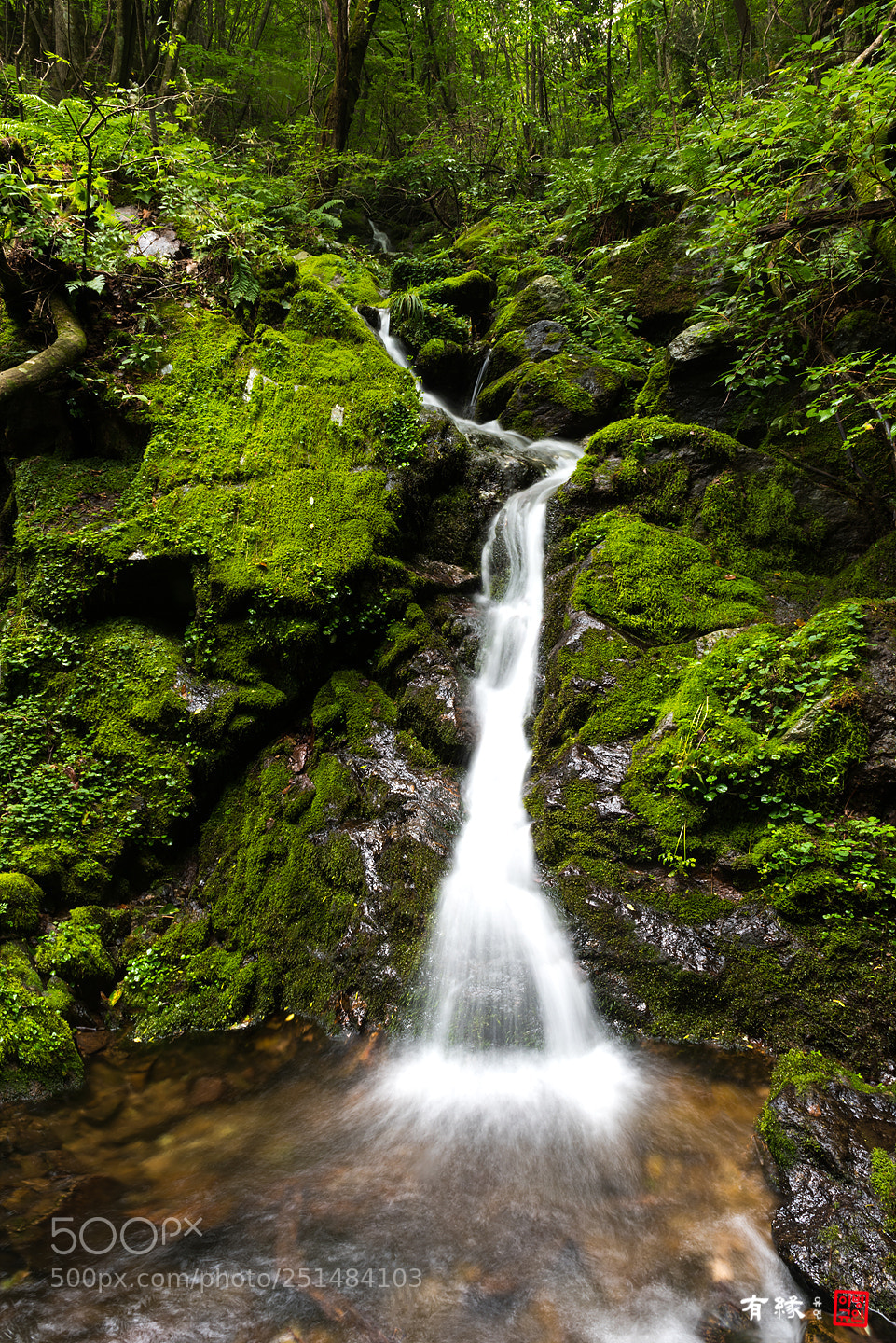 Nikon D810 sample photo. . photography