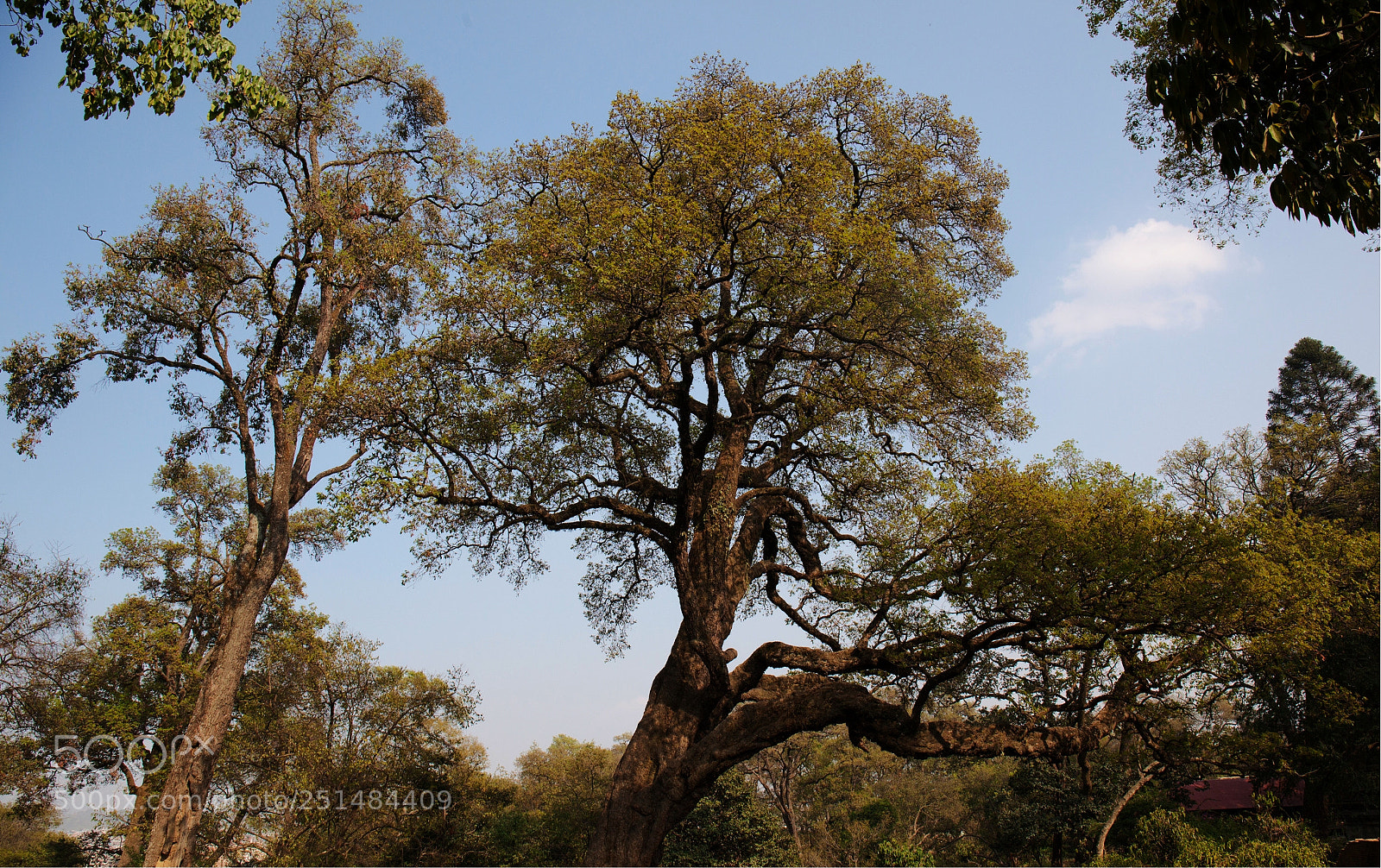 Canon EOS 5D Mark II sample photo. Nature photography