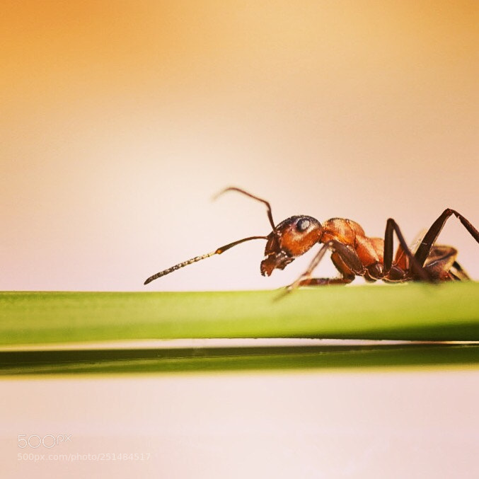Nikon D5300 sample photo. Untitled photography