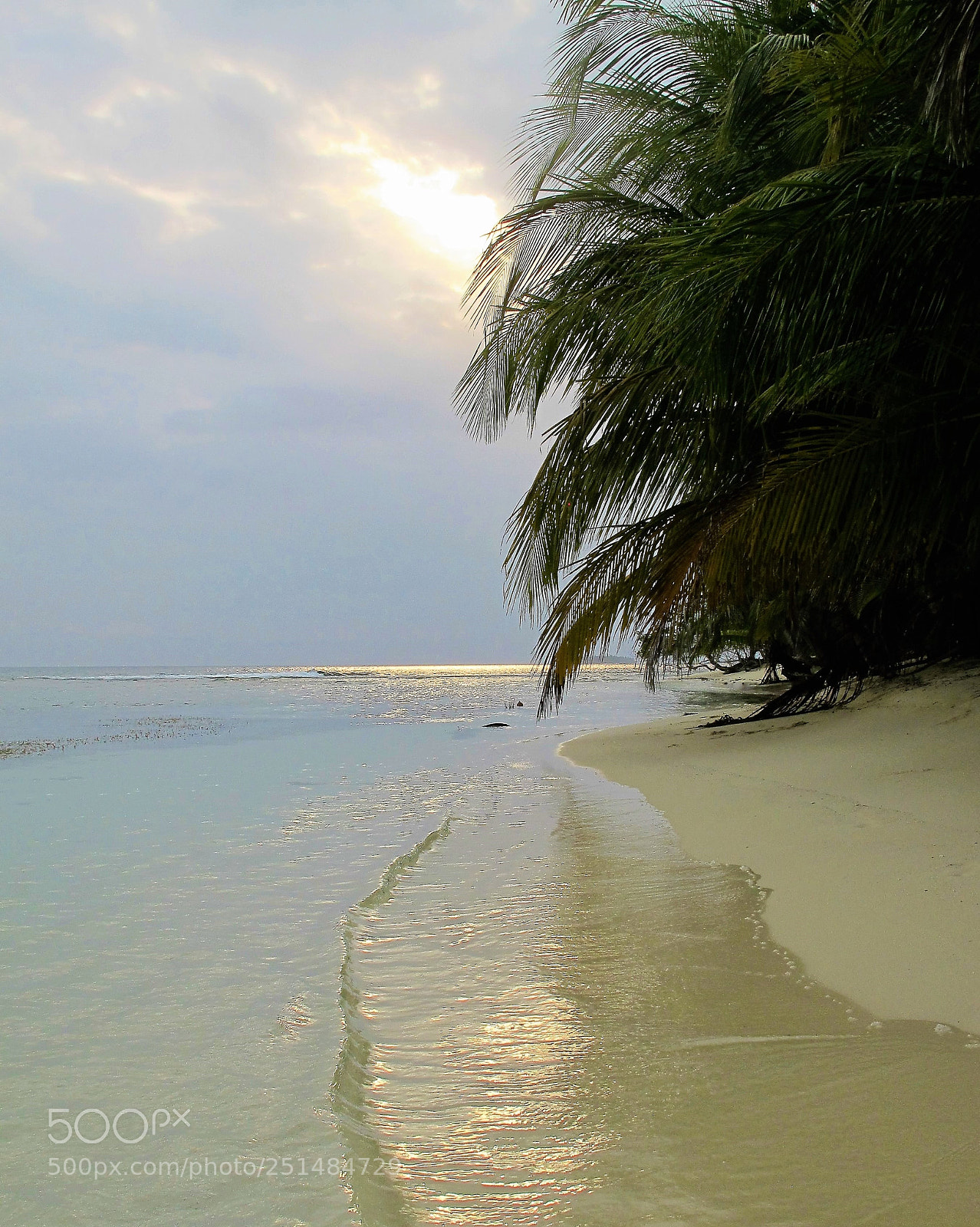 Canon PowerShot G12 sample photo. Another evening in paradise photography