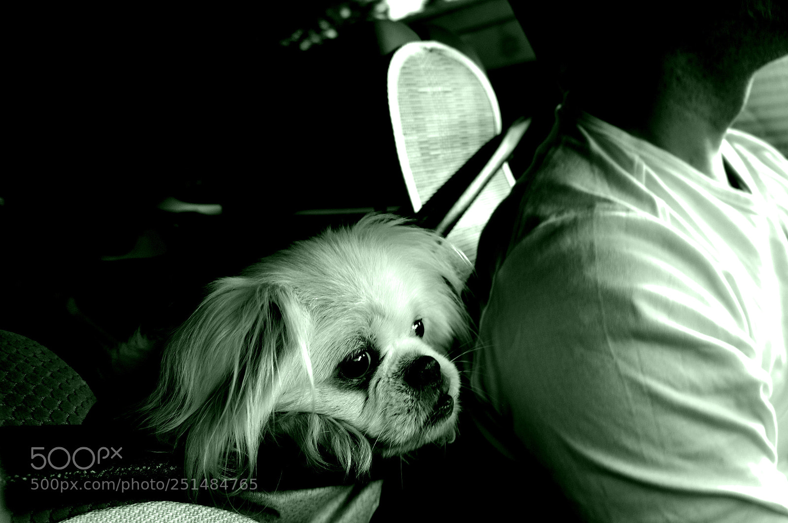 Sony Alpha NEX-5N sample photo. Dsc photography