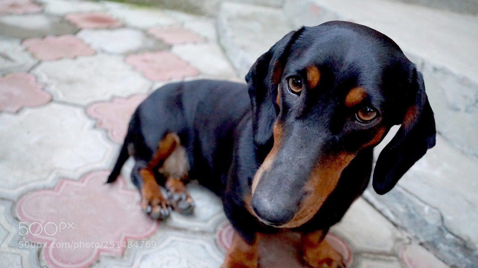 Sony a6000 sample photo. Dsc photography