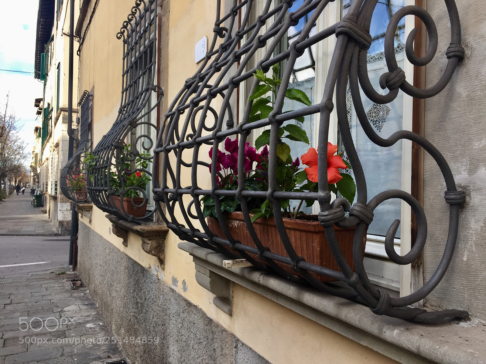 Apple iPhone 6 sample photo. Flowers in prison photography