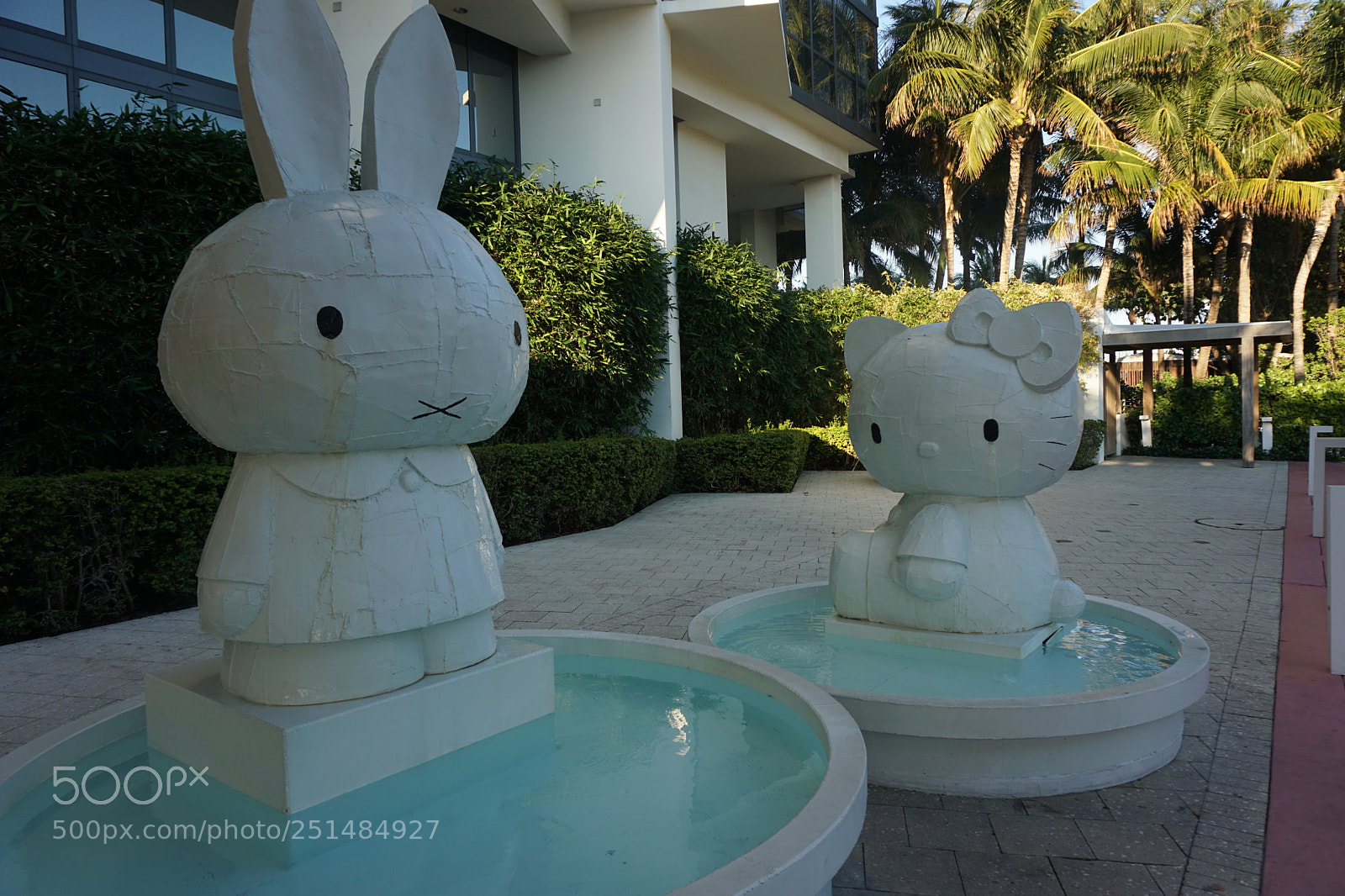 Sony a6000 sample photo. Dsc photography