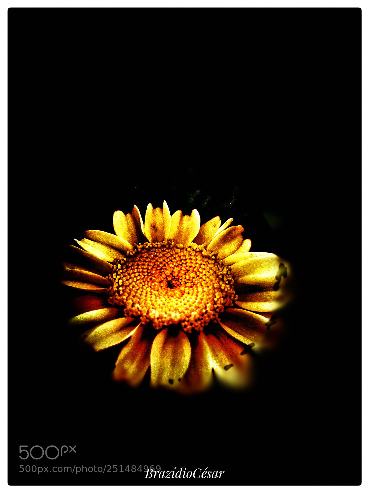 Apple iPhone 6s sample photo. Untitled photography