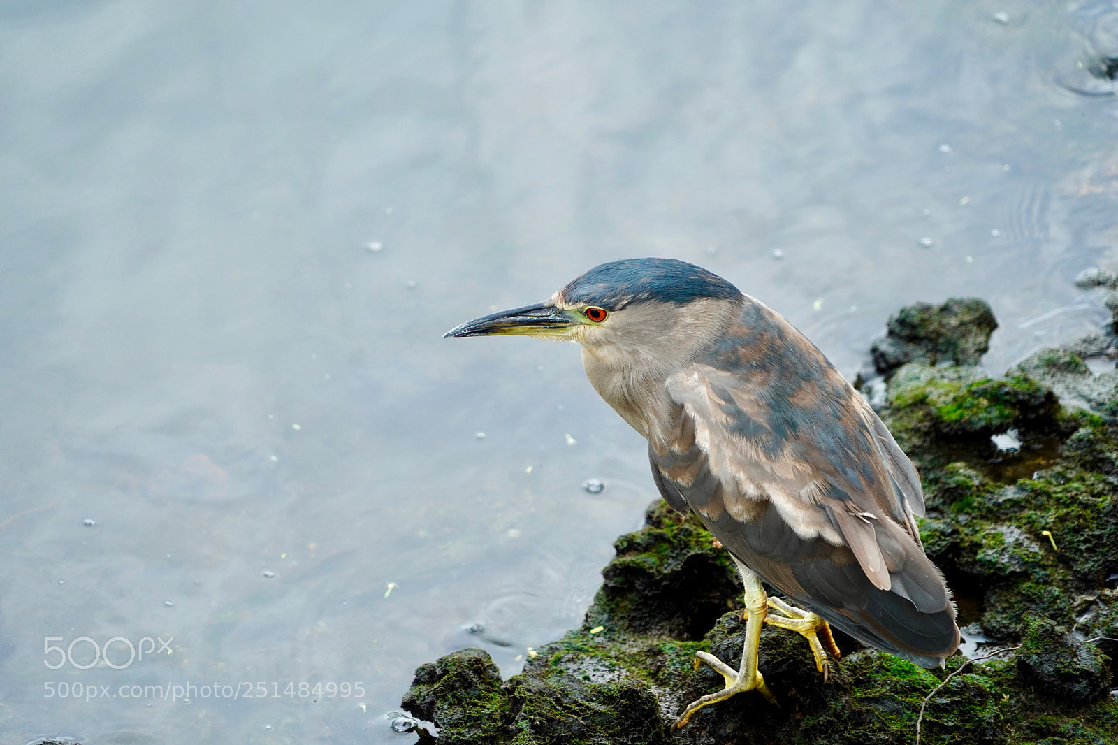 Sony a9 sample photo. Fishing photography