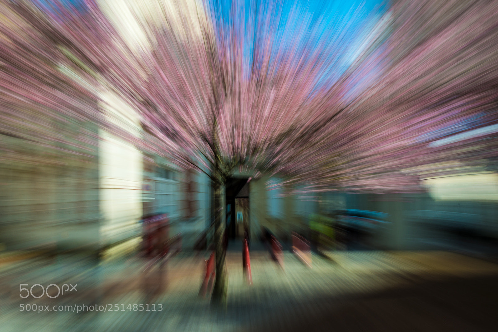 Nikon D800 sample photo. Rue montauban photography
