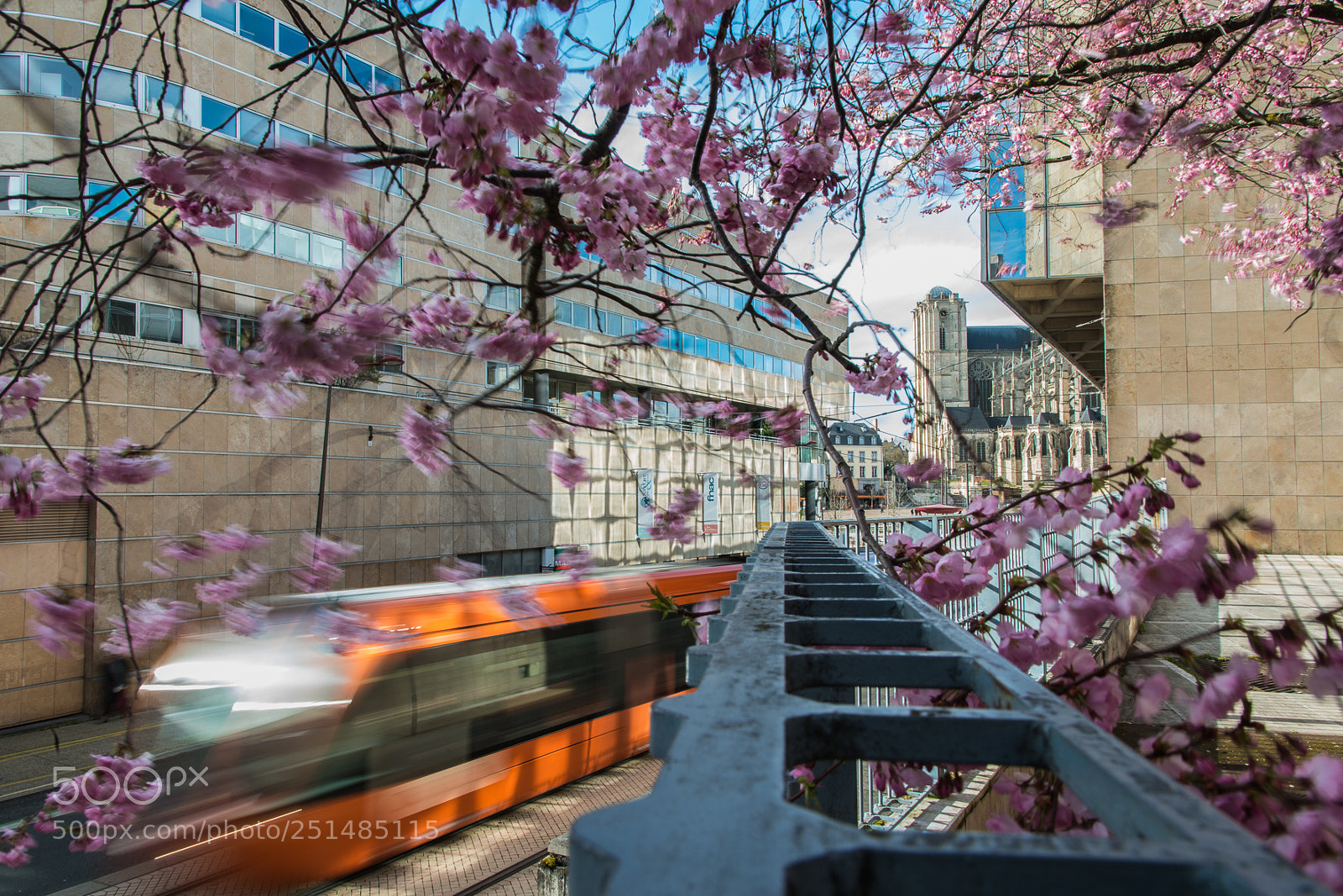 Nikon D800 sample photo. Le tram photography