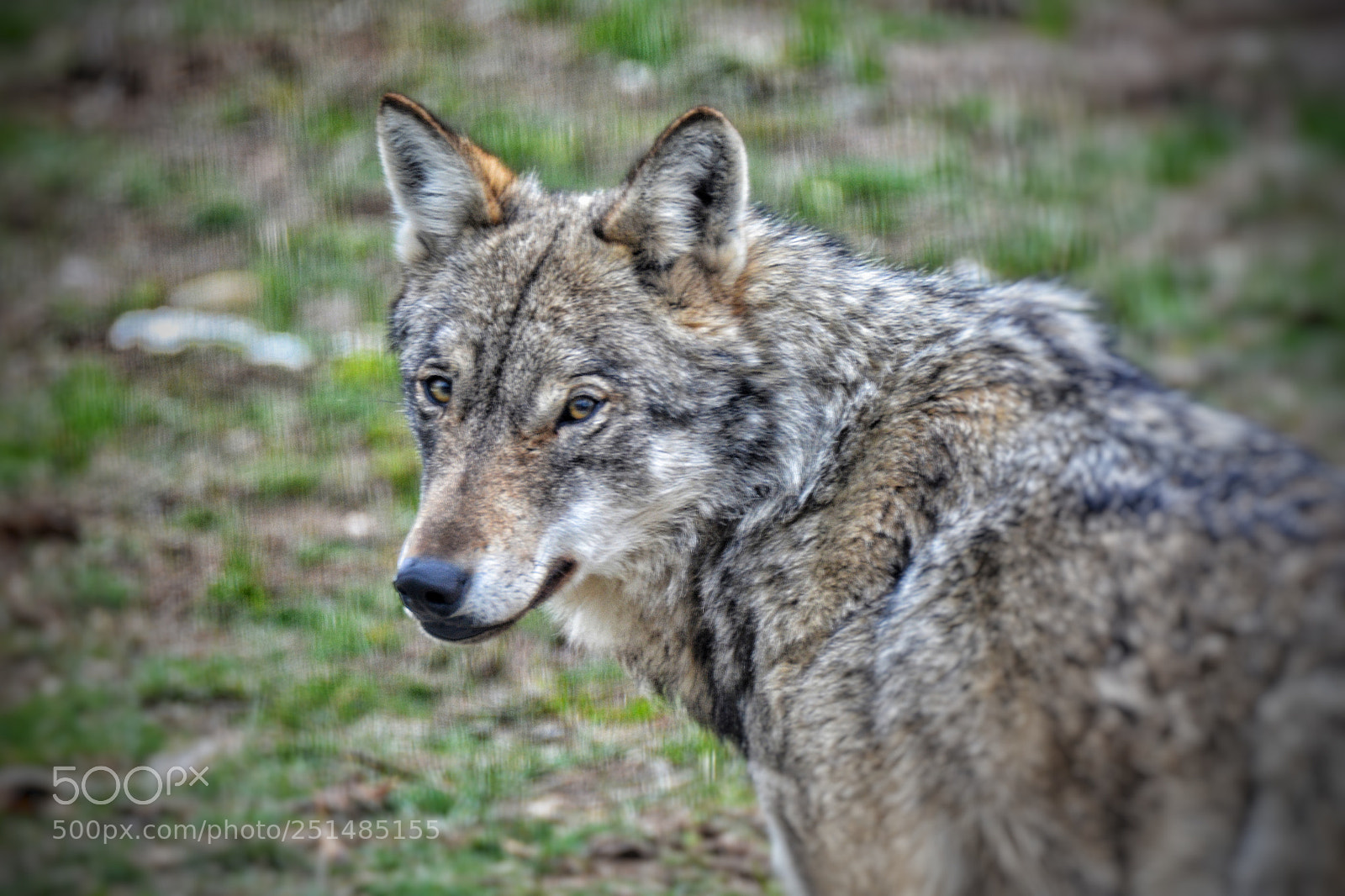 Nikon D7100 sample photo. Untitled photography