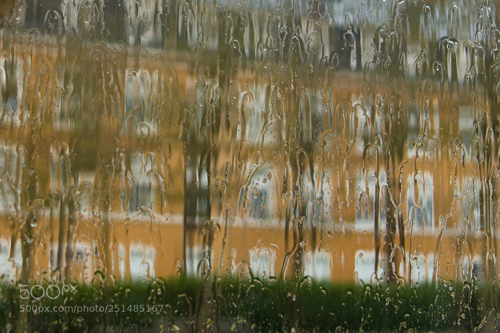 Nikon D800 sample photo. Rainy day photography