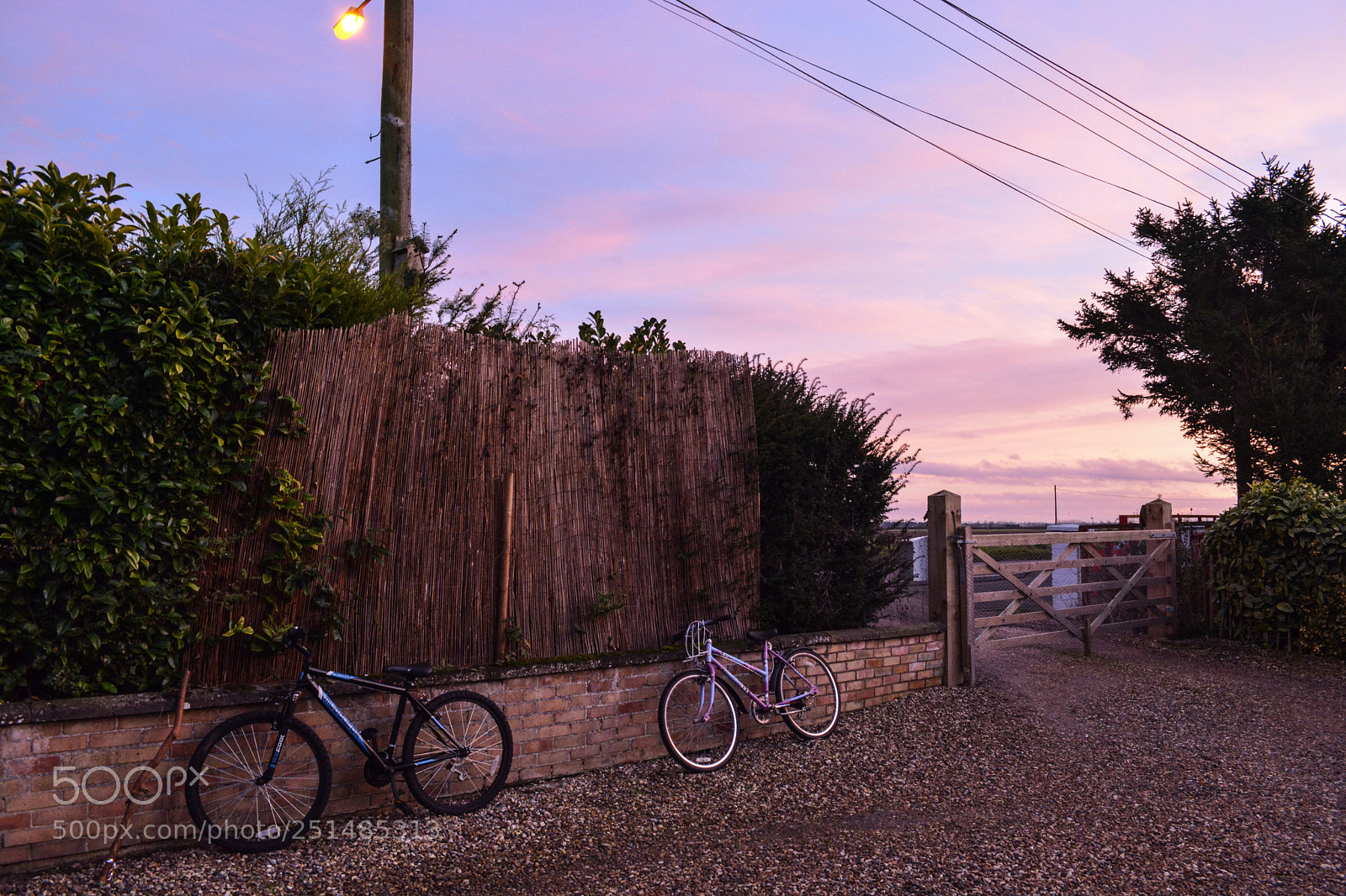 Nikon D5200 sample photo. Front garden photography