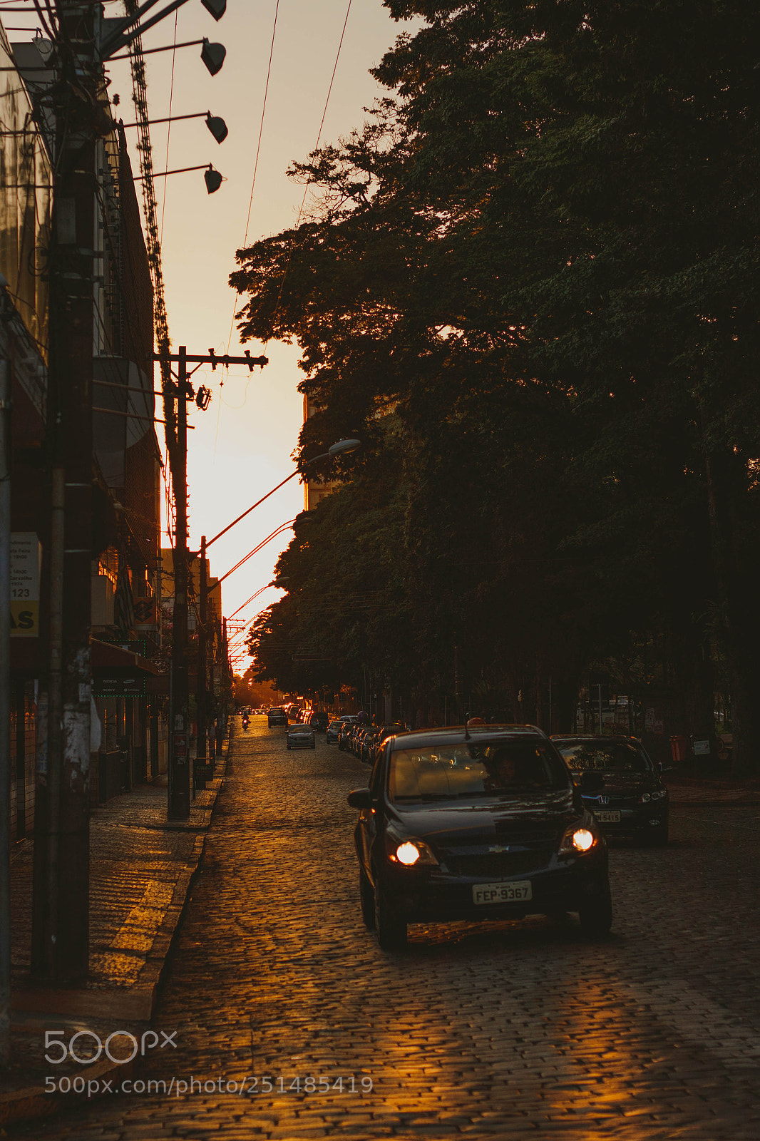 Canon EOS 800D (EOS Rebel T7i / EOS Kiss X9i) sample photo. Fim de tarde photography