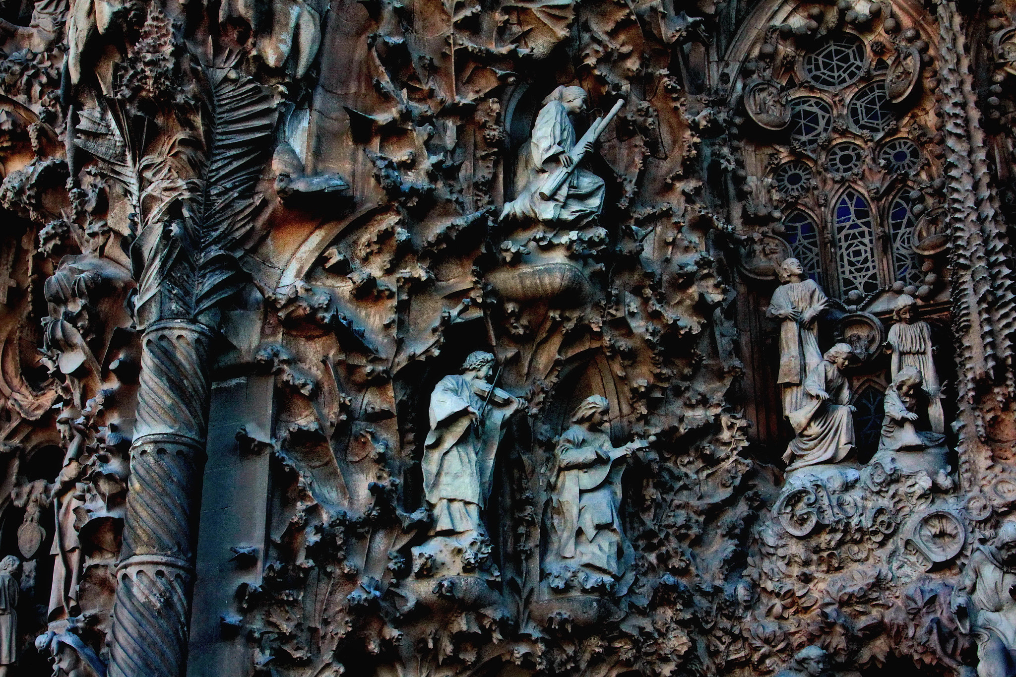 Canon EOS sample photo. Fragment photography