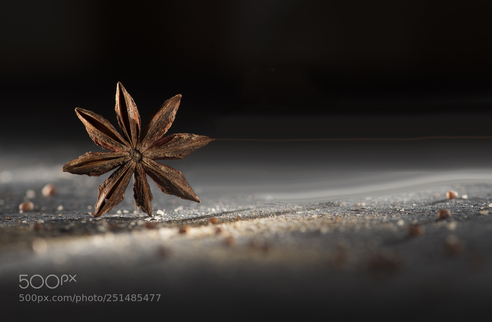Nikon D610 sample photo. Anise photography