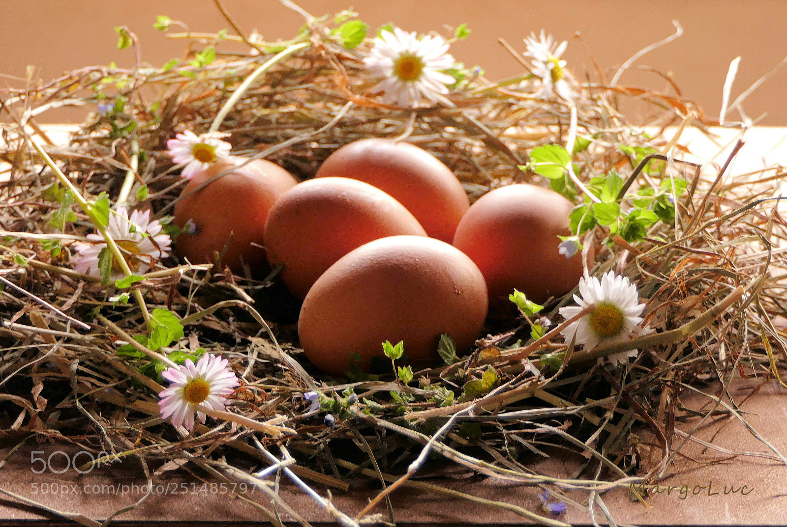 Panasonic Lumix DMC-FZ2500 (Lumix DMC-FZ2000) sample photo. Happy easter! photography