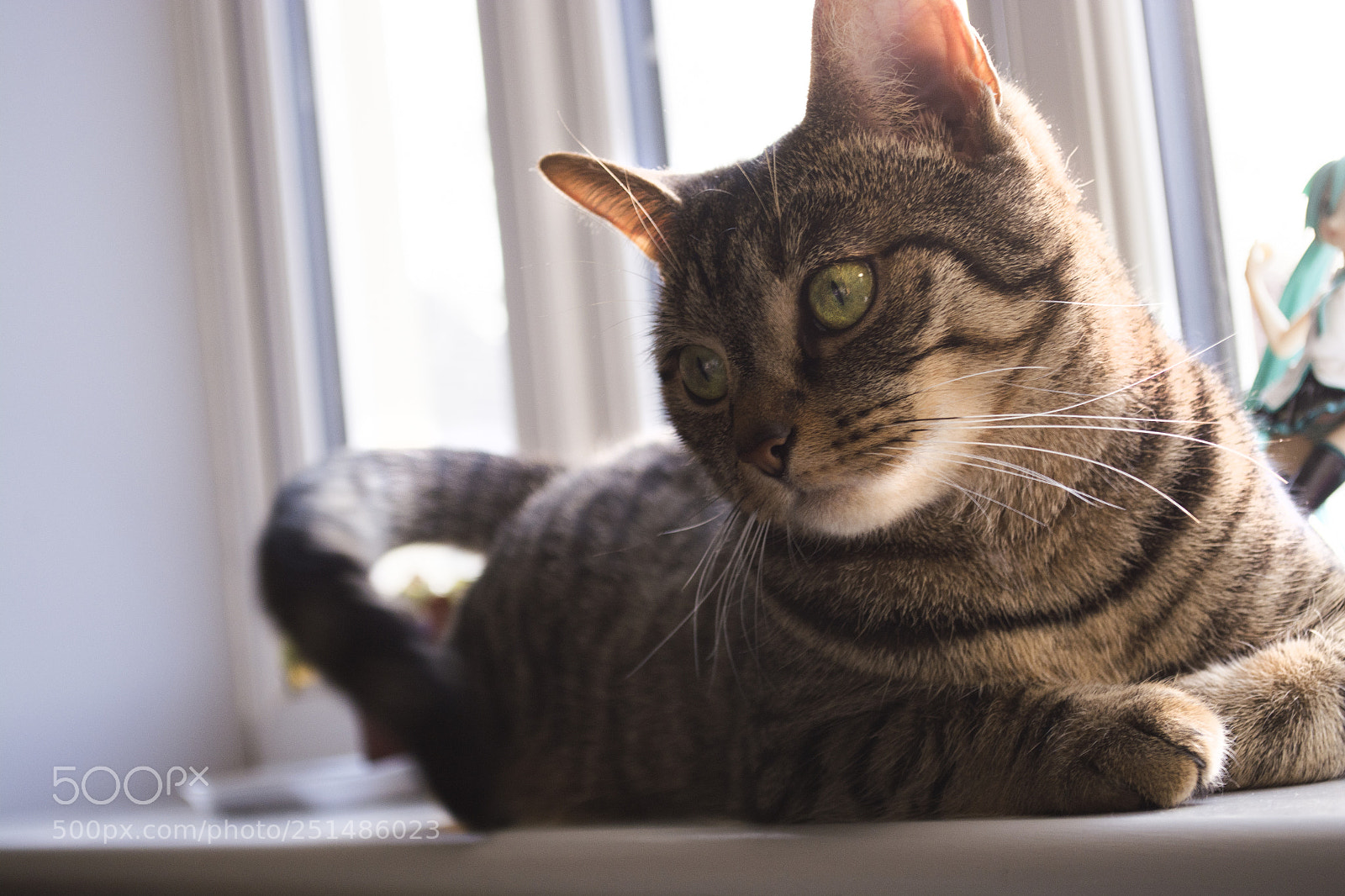 Nikon D5200 sample photo. Castiel photography