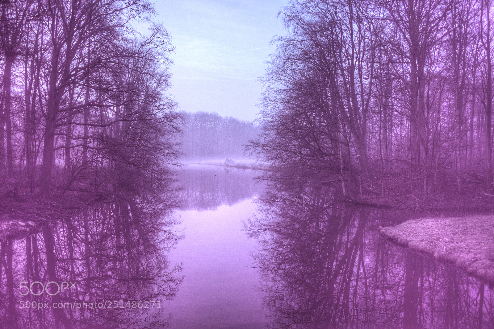 Nikon 1 J5 sample photo. Misty morning photography