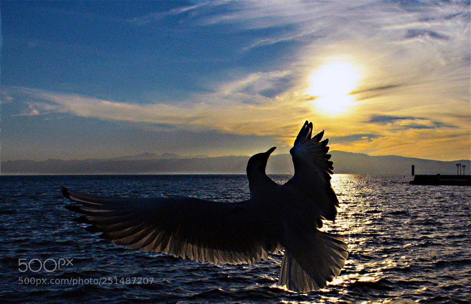 Nikon D5200 sample photo. Look at the sun photography
