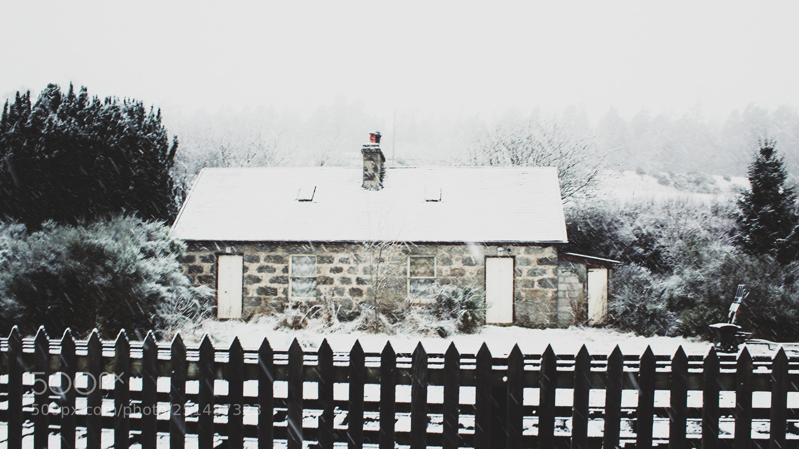 Canon EOS 1300D (EOS Rebel T6 / EOS Kiss X80) sample photo. Snow day at strathspey photography